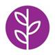 Freelancer Stephane @DigitalSeed