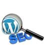 WordPress søgemaskineoptimering