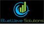 BlueWave Solutions