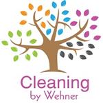 Cleaning by Wehner
