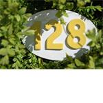 numeri