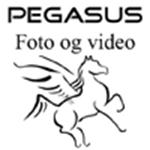 Pegasus Foto og Video