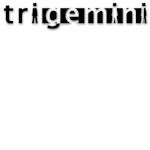 TriGemini
