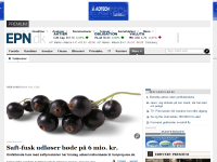 Billede fra historie