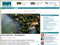 Billede fra historie