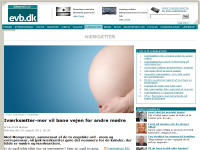 Billede fra historie