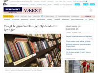 Billede fra historie