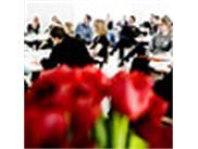 Brug dine Succeshistorier som case stories