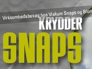 Virksomhedsbesøg hos Viskum Snaps