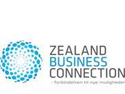 Scenen er din - det perfekte pitch