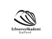 Erhvervsliv og E-handel - Input til iværksætteri