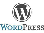 Avanceret WordPress kursus i København