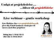 Undgå at projektledelse bliver til projektlidelse