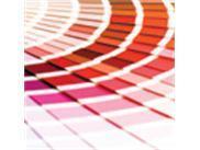 Grafisk Design BASIS