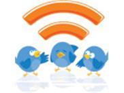 Sociale Media Manager