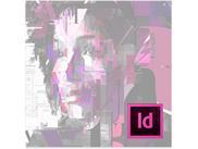 InDesign Basis til 3000,-