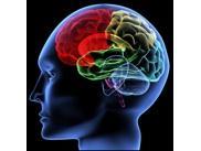 Det mentale kompas - Mastermind Workshop