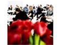 Brug dine Succeshistorier som case stories
