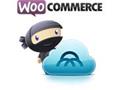 Webshop i WordPress - WooCommerce kursus