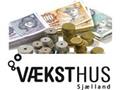 Kapital gennem rådgivning - finansier din vækst