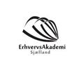 Erhvervsliv og E-handel - Input til iværksætteri