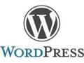 WordPress kursus i Skjern