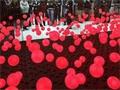 Netværkstur til CeBIT 2014