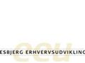 Kan Produktudvikling og design skabe vækst?