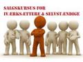 Salgskursus for Iværksættere og selvstændige