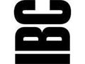 Wordpress - blog eller website