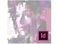 InDesign Basis til 3000,-