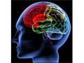 Det mentale kompas - Mastermind Workshop