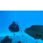 Freelancer camilla brink nielsen