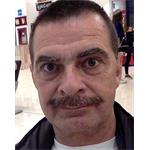 Freelancer Henrik Suhr