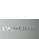 Freelancer Christian  Cortsen