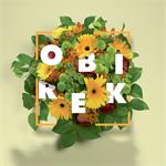 Freelancer Simon Obirek