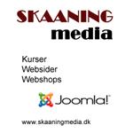 Freelancer Brian Skaaning