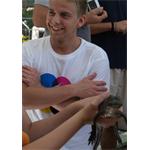 Freelancer Anders  Andersen