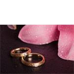 Freelancer Lasse Baltzer