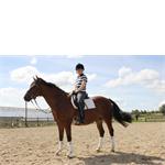 Freelancer Cecilia  Lindahl