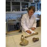 Freelancer Lise Harvig