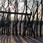 Freelancer slettet bruger