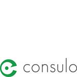 Freelancer Consulo ApS