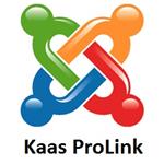 Freelancer Heidi Klitgaard