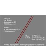 Freelancer Erik Schultz