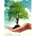 Freelancer Martin Bang Jensen