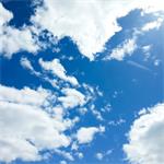 Freelancer Nilas Gram