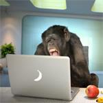 Freelancer Jørgen Langevad